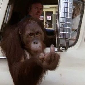 Meet your Posher, Frank